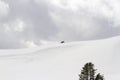 Lone bison on snowy hillside in Yellowstone National Park, Wyoming in winter Royalty Free Stock Photo
