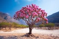 Lone bonsai tree with pink flower in an arid landscape AI generated
