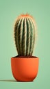 A Lone Cactus Thriving in a Green Pot Royalty Free Stock Photo