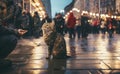 A kind stranger feeds a stray cat on a cold, rainy night.Generated image Royalty Free Stock Photo