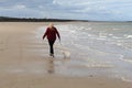 A lone Caucasian woman walking along the beach with her pet white Chihuahua dog Royalty Free Stock Photo