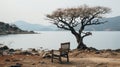 a lone chair sitting in front of a tree by a body of water