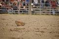 Lone Cowboy/Cowgirl hat Royalty Free Stock Photo