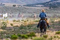 Lone cowboy rides out to round up horses