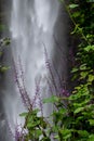 Lone Creek Falls with purple flowers in foreground, waterfalls in the Blyde River Canyon, Panorama Route near Sabie,South Africa