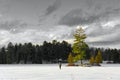 Cross-Country Skiing, Silent Lake, Ontario Royalty Free Stock Photo