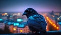 Silhouette of a Crow Perched on a Skyscraper Against the Sunset Skyline. Generative AI