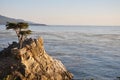 Lone cypres 17 mile drive