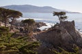 Lone Cypress, Carmel, California Royalty Free Stock Photo