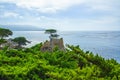 The Lone Cypress is an iconic tree that stands on top of a granite outcropping in Pebble Beach, between Pacific Grove and Carmel- Royalty Free Stock Photo