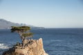 Lone Cypress - 17 Mile Drive California Royalty Free Stock Photo