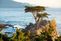 Lone cypress on the 17-mile drive, Pebble Beach, Monterey, California, USA Royalty Free Stock Photo