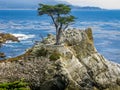 The Lone Cypress, Pebble Beach, CA Royalty Free Stock Photo