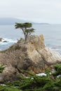 Lone Cypress, Pebble Beach, California Royalty Free Stock Photo