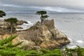 Lone Cypress - Pebble Beach, California Royalty Free Stock Photo