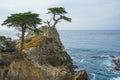 The Lone Cypress on a Rocky Coast. 17 Mile Drive, Pebble Beach, Monterey Bay, California Royalty Free Stock Photo