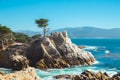 The Lone Cypress on scenic 17-mile drive, Pebble Beach, California, USA Royalty Free Stock Photo