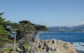 The Lone Cypress   seen from the 17 Mile Drive in Pebble Beach of  Monterey Peninsula. California Royalty Free Stock Photo