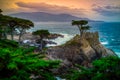 The Lone Cypress at Sunset, from the 17 Mile Drive, in Pebble Beach, California Royalty Free Stock Photo