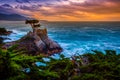 The Lone Cypress at Sunset, from the 17 Mile Drive, in Pebble Beach, California Royalty Free Stock Photo