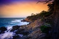 The Lone Cypress at Sunset, from the 17 Mile Drive, in Pebble Beach, California Royalty Free Stock Photo