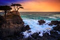 The Lone Cypress at Sunset, from the 17 Mile Drive, in Pebble Beach, California Royalty Free Stock Photo