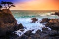 The Lone Cypress at Sunset, from the 17 Mile Drive, in Pebble Beach, California Royalty Free Stock Photo