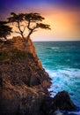 The Lone Cypress at Sunset, from the 17 Mile Drive, in Pebble Beach, California Royalty Free Stock Photo