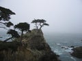 The Lone Cypress Tree view of tree and the ocean from 17 mile drive Royalty Free Stock Photo