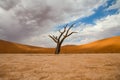 Lone dead camel thorn tree in Deadvlei Namibia Royalty Free Stock Photo