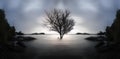 A lone dead tree and partially submerged in the sea on sunset.,