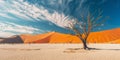 Lone dried tree in the desert among sand dunes Royalty Free Stock Photo