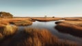 Lone Duck In A Lively Marsh: A Filip Hodas-inspired 8k National Geographic Photo Of Southern Countryside