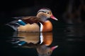 A lone duck swims in shallow blue water with its head up