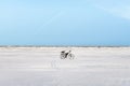 Lone electric bike on snow plain under blue sky