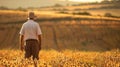 A lone farmer tends to crops back facing the camera as works tirelessly under the warm sun. The quiet determination on .