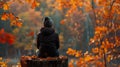 A lone figure sitting on a tree stump back facing the camera as they admire the vibrant colors of the autumn foliage