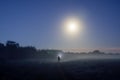 A lone figure on a spooky misty path at night shinning a torch at lights on the horizon