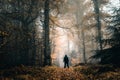 A lone figure standing on a forest path on a spooky misty day. With a high contrast edit