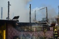 Lone fireman attempting to enter the premises of a burning house