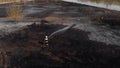 Lone fireman extinguishing the remains of a wildfire in natural reserve in Poland