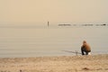 Lone fisherman on beach