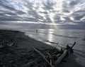 Lone Fisherman at dawn, the Mouth of the Waimakariri River, Canterbury, New Zealand