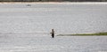 Lone fisherman fishing off isolated spit of land in middle of Poole Harbour, Poole, Dorset, UK