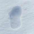 Lone footprint or boot on the snow the next person