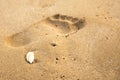 The footprint of a human foot in the wet sand