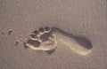 Lone footprint in the sand