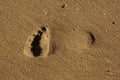 A lone footprint on a wet and clean beach in KwaZulu-Natal