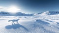 Arctic Fox Snow Landscape Royalty Free Stock Photo