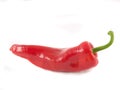 A lone, fresh red pepper Royalty Free Stock Photo